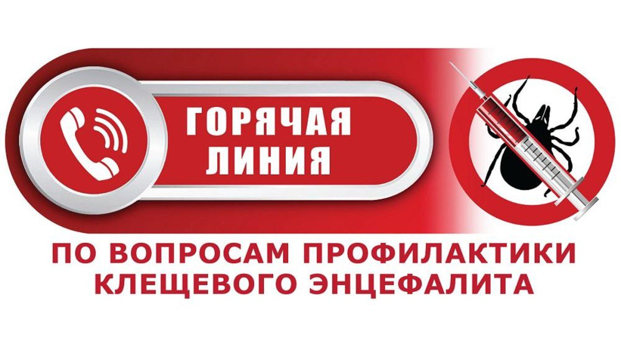 С 28.04 по 11.05 2025 г. будет проводится «горячая линия» по профилактике клещевого вирусного энцефалита.