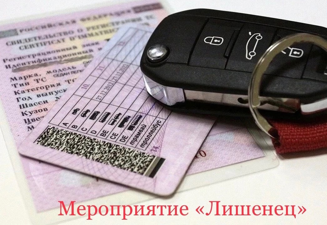 Профилактическое мероприятие «Лишенец»