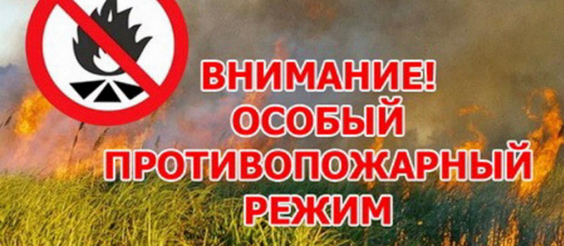 в период с 25.04.2024 по 01.06.2024 на территории Кузбасса установлен ОСОБЫЙ ПРОТИВОПОЖАРНЫЙ РЕЖИМ